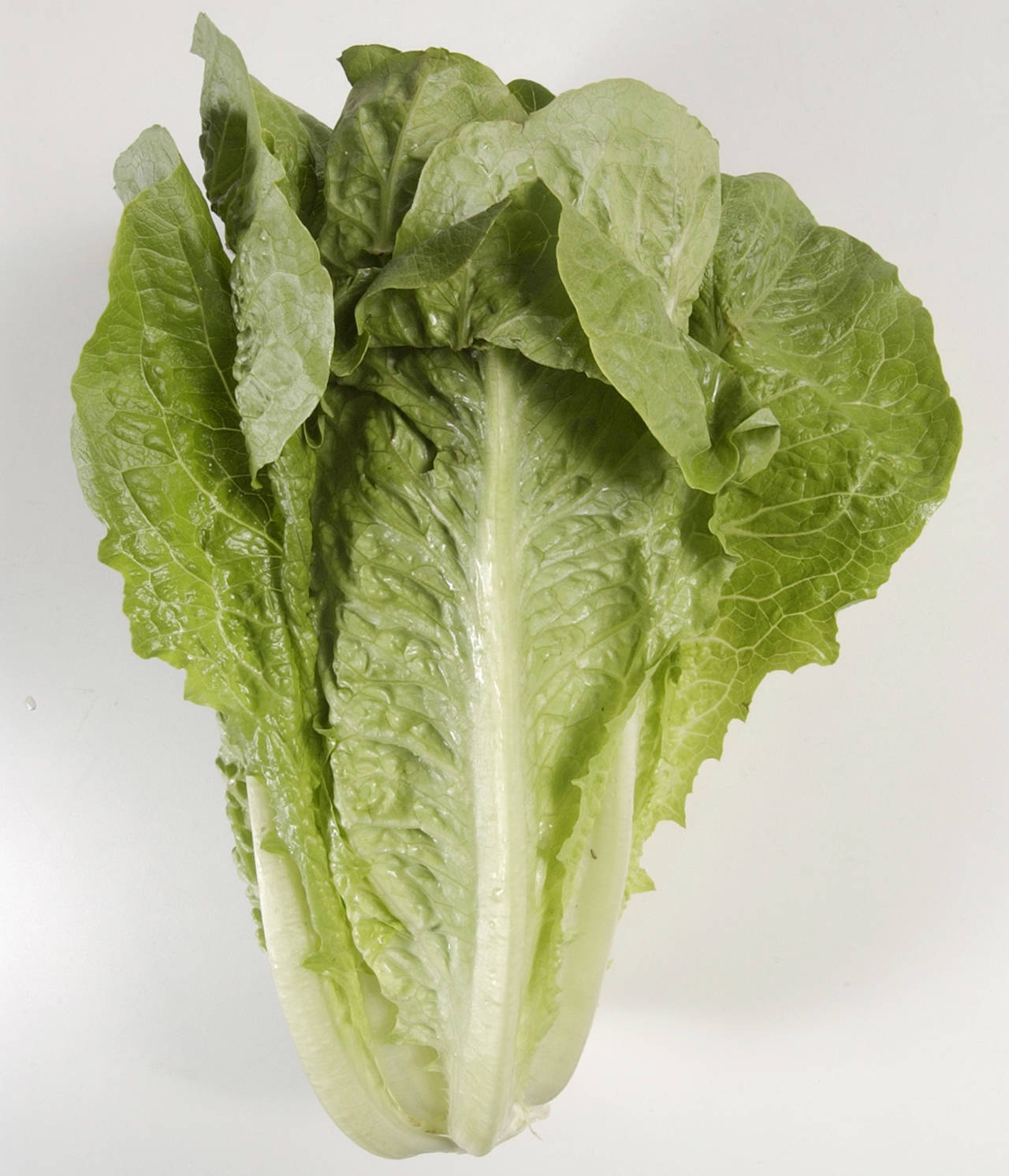Romaine lettuce, beef recalled just before Thanksgiving