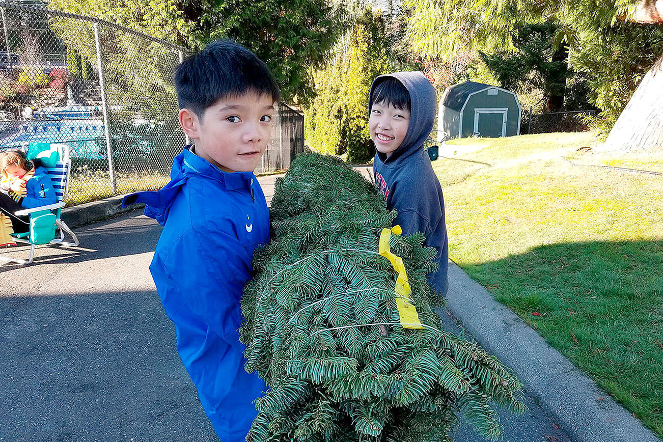 Aiden Yin and Joshua Zhao carry a tree to the lot for the Boy Scout Troop 626 of Bellevue 36th annual Christmas tree sale fundraiser. Courtesy of Jon Trohimovich.