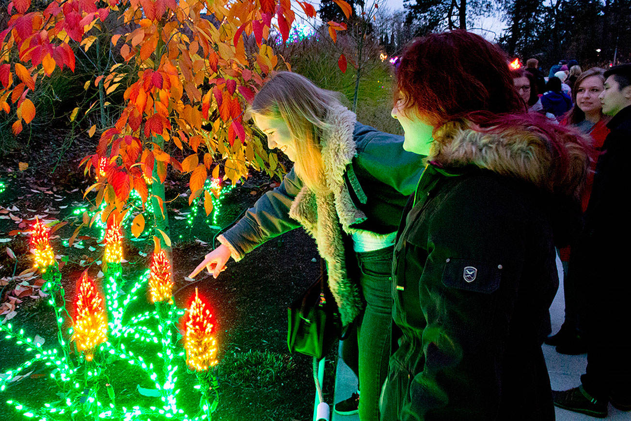 Bellevue Botanial Garden brings in 80,000 people for 24th annual Garden d’Lights