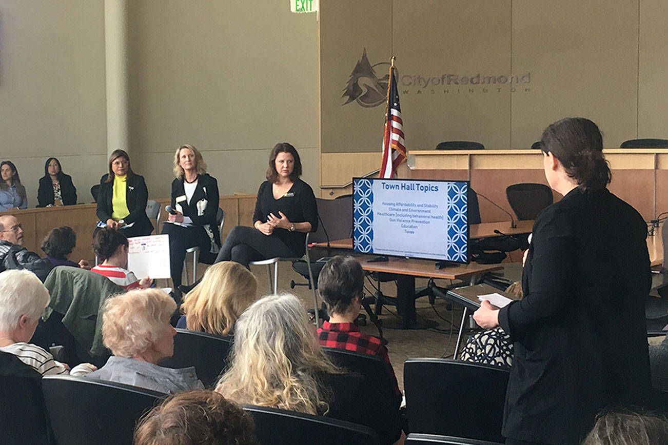 48th District town hall focuses on education, housing and gun control
