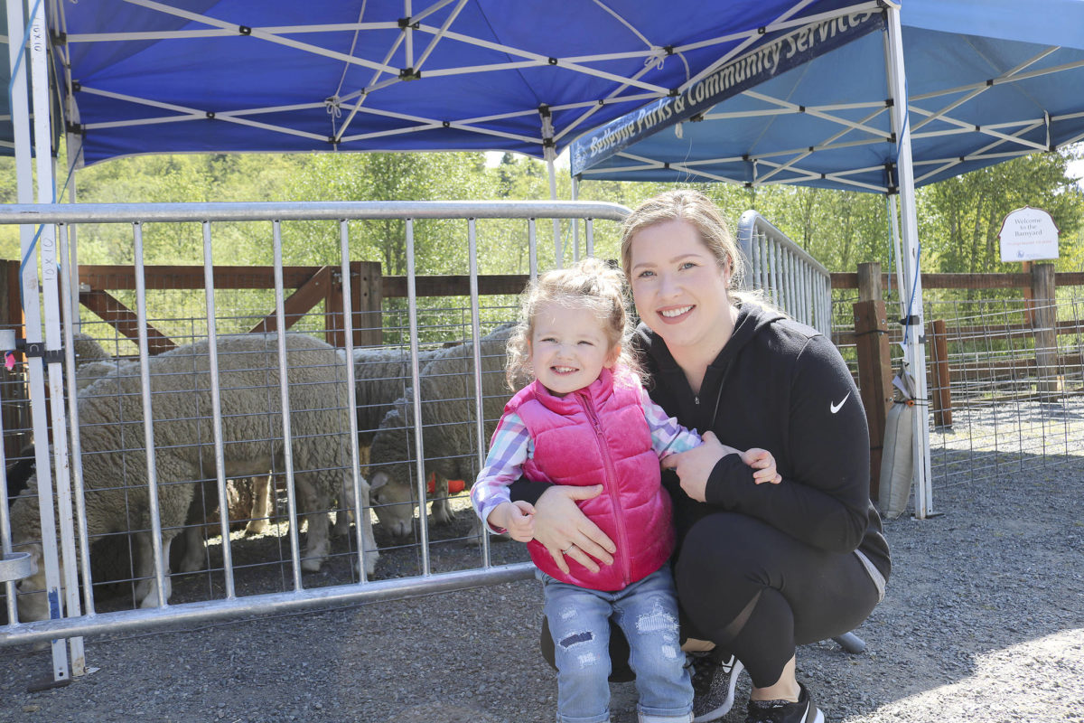 Bellevue shears the fun at annual sheep shearing event Bellevue Reporter