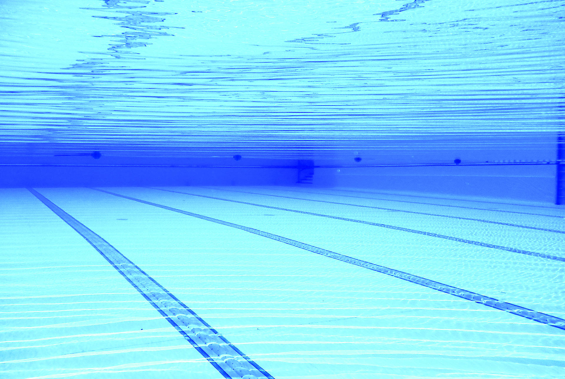 Aquatics facility feasibility study continues in Bellevue