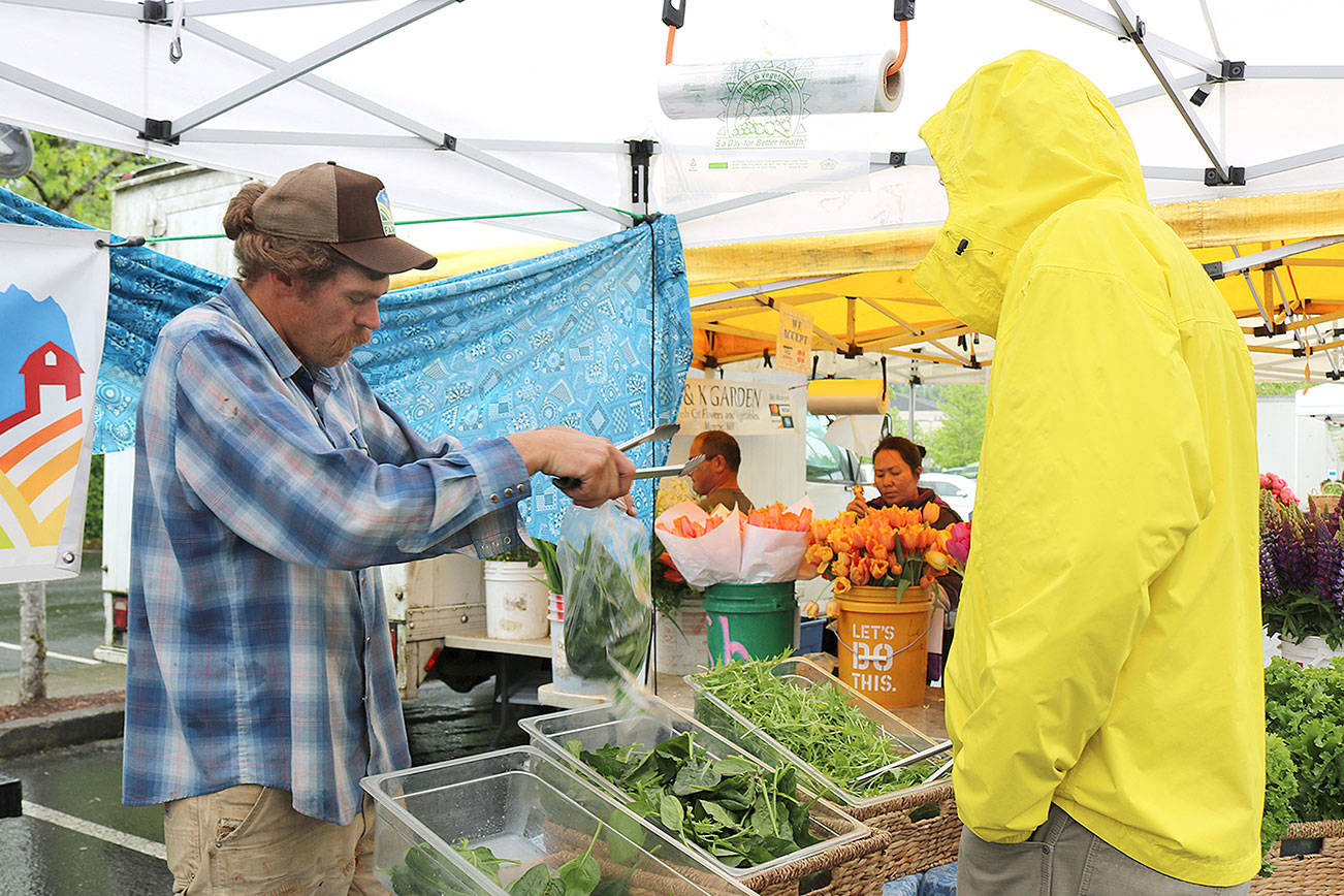 Customer buys green leaves from Foothills Farms at the opening market day in Bellevue on May 16. Stephanie Quiroz/staff photo