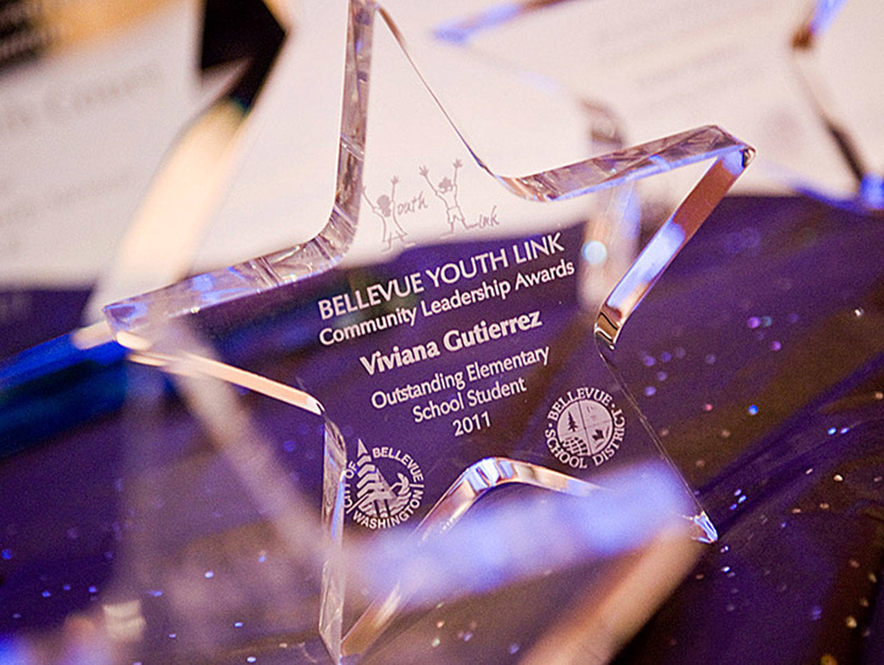 The 29th annual Bellevue Youth Link Community Leadership Awards opened nominations. Courtesy photo