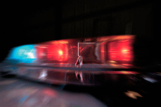 Police spend 1.5 hours negotiating with suspect in bush | Police Blotter