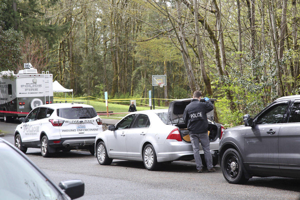 Bellevue Police investigators collect evidence April 3 after a body was found in the Goldsmith Neighborhood Park. Ashley Hiruko/staff photo