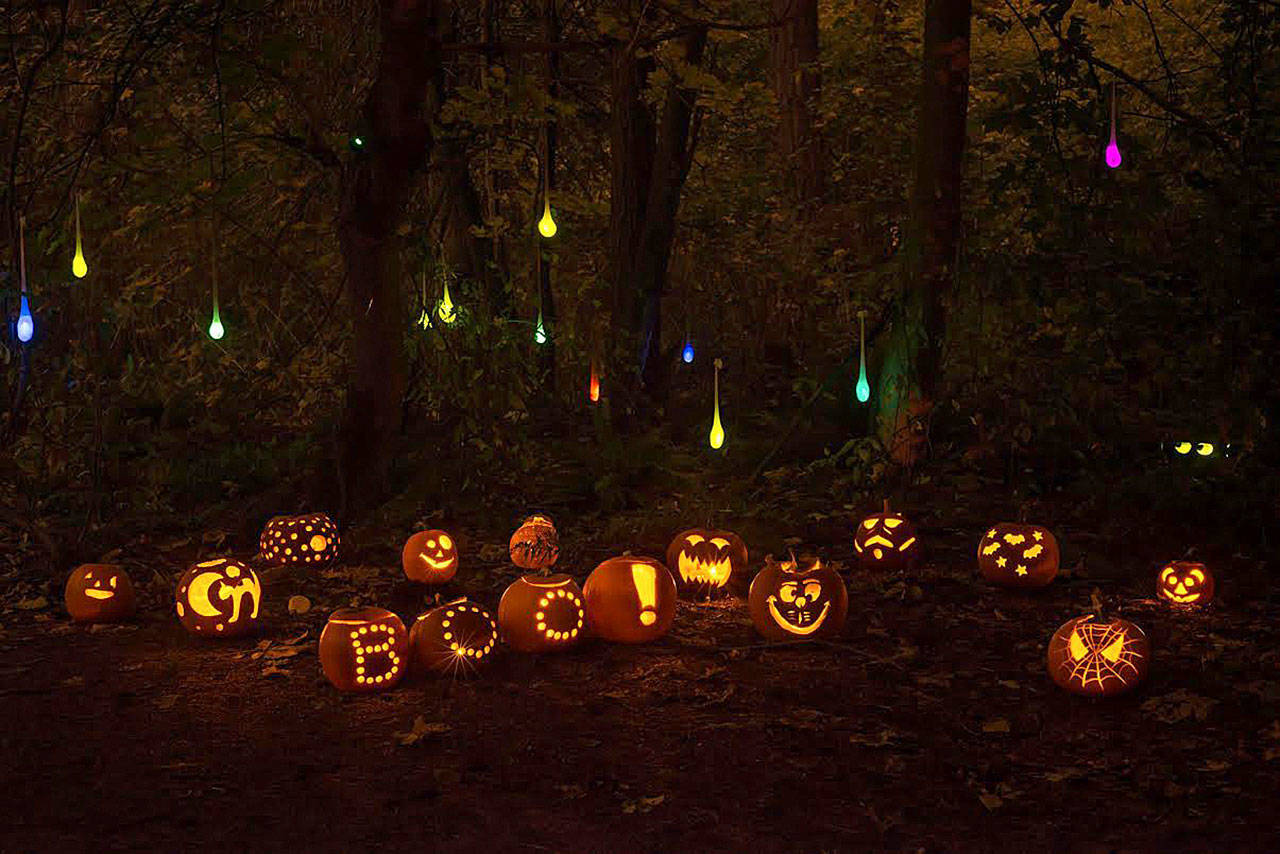 Photo courtesy of Amanda Colburn                                The Island’s third Pumpkin Walk is set for Oct. 27 at Luther Burbank Park.