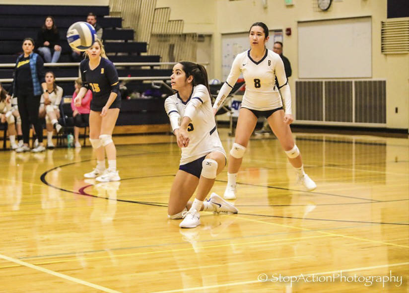 Bellevue defensive specialist Julianne Raman is one of eight seniors on the Wolverines volleyball team. Photo courtesy of Don Borin/Stop Action Photography