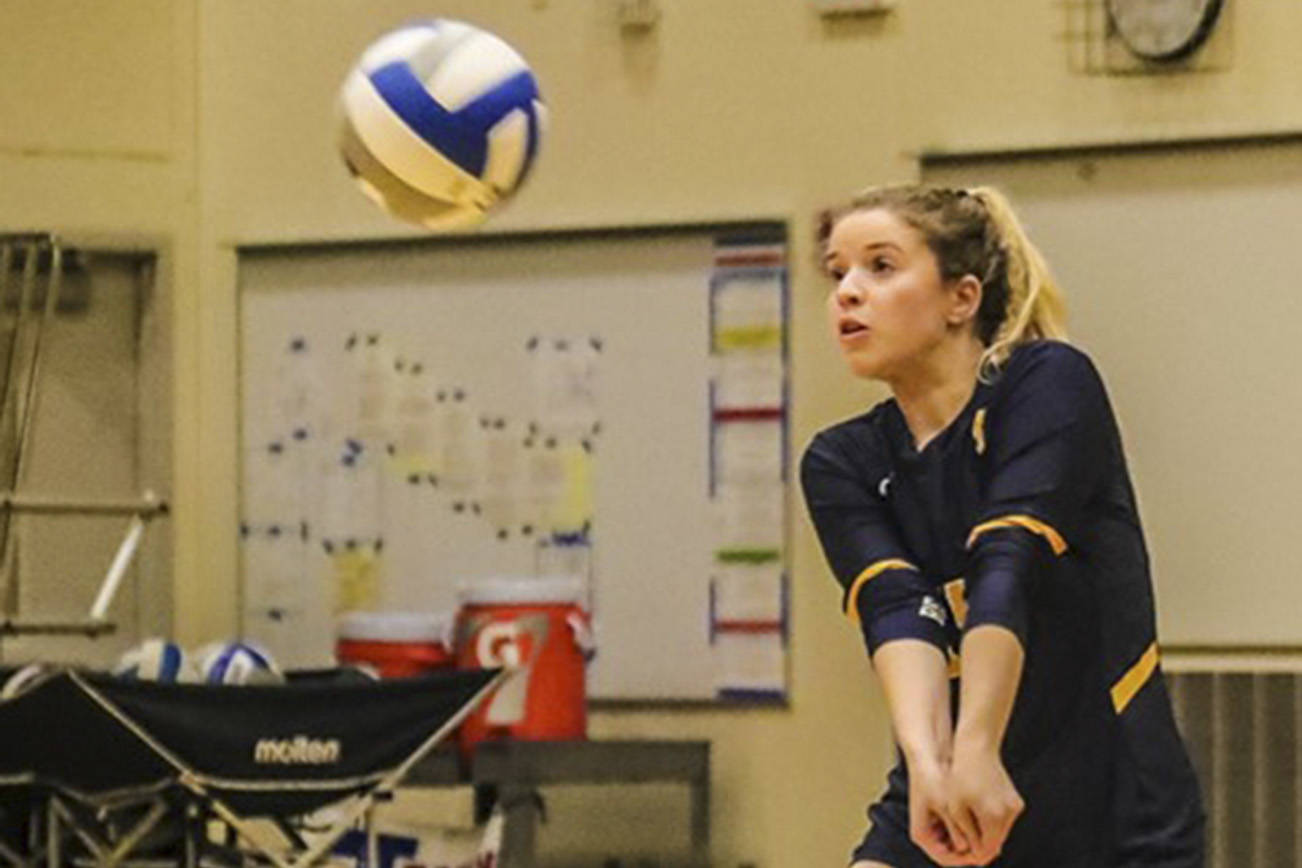 Seniors lead Bellevue volleyball into postseason