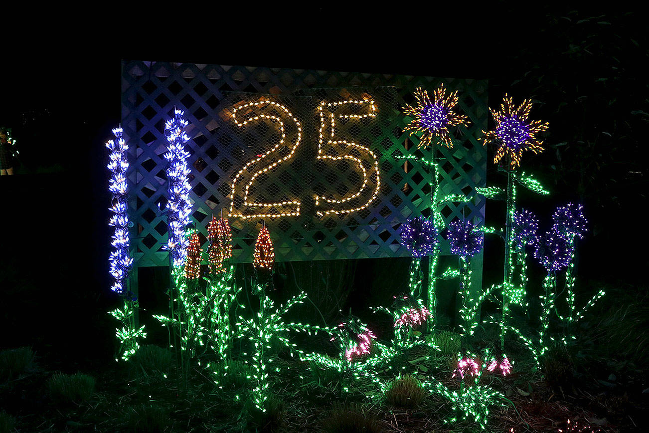 In 2019 Garden d’Lights celebrated 25 years. This year, COVID-19 has canceled it. Stephanie Quiroz/File photo.