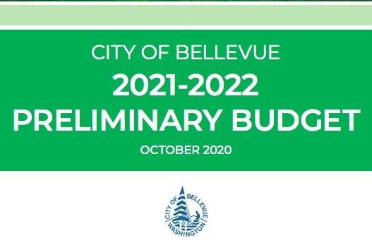 Screenshot from the Bellevue 2021-2022 Preliminary Budget.