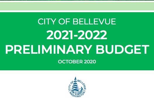 Screenshot from the Bellevue 2021-2022 Preliminary Budget.
