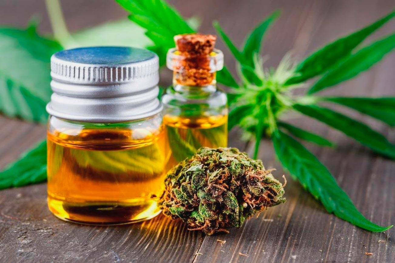 Best CBD Oil (2021) Review Top High Quality CBD Oils to Buy | Bellevue  Reporter
