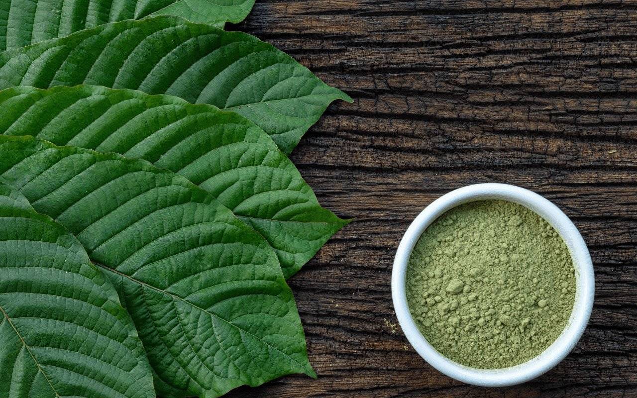 Best Kratom Vendors With The Highest Quality Products For Sale