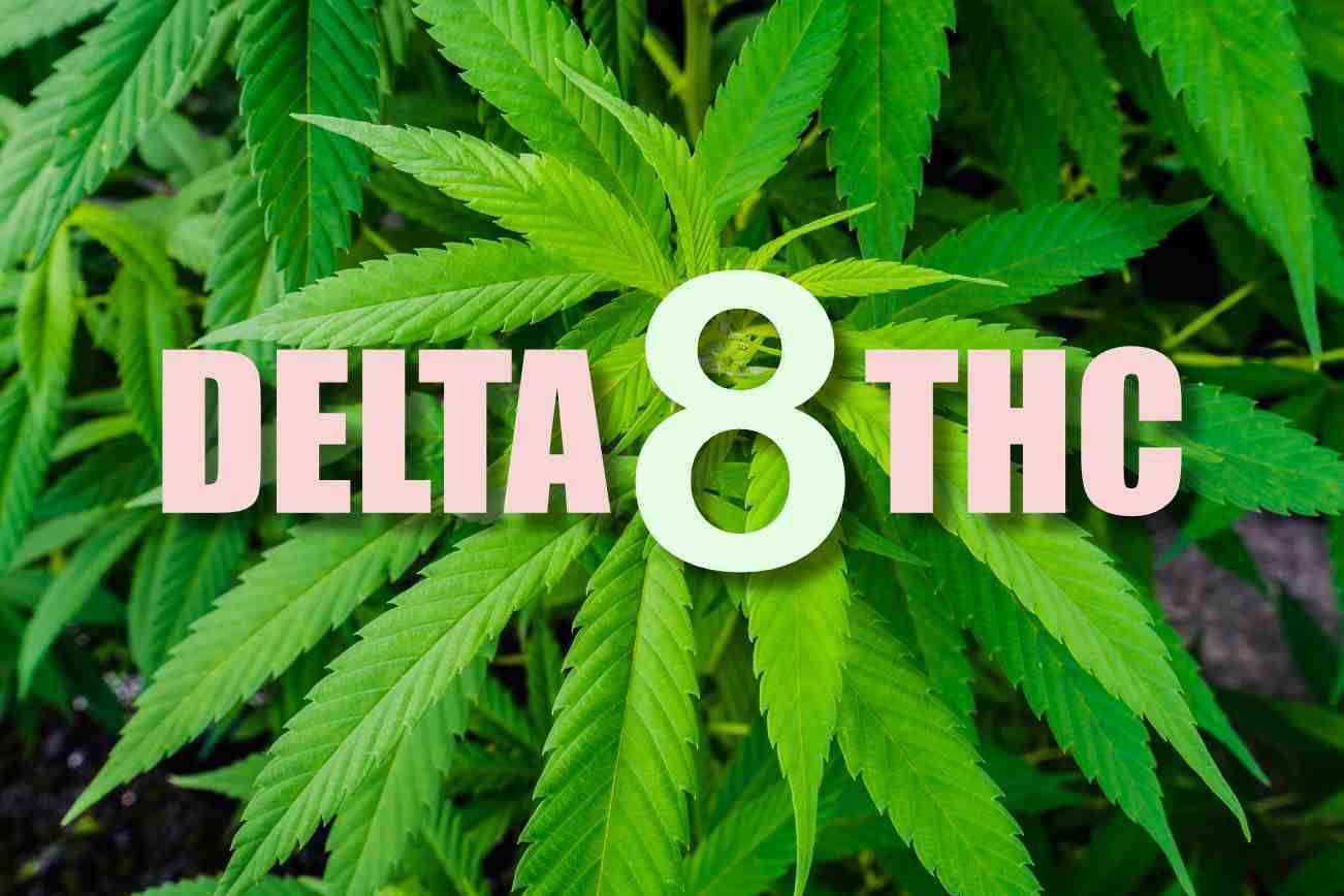 Will Delta 8 Show Up In A Drug Test - Products|Thc|Hemp|Brand|Gummies|Product|Delta-8|Cbd|Origin|Cannabis|Delta|Users|Effects|Cartridges|Brands|Range|List|Research|Usasource|Options|Benefits|Plant|Companies|Vape|Source|Results|Gummy|People|Space|High-Quality|Quality|Place|Overview|Flowers|Lab|Drug|Cannabinoids|Tinctures|Overviewproducts|Cartridge|Delta-8 Thc|Delta-8 Products|Delta-9 Thc|Delta-8 Brands|Usa Source|Delta-8 Thc Products|Cannabis Plant|Federal Level|United States|Delta-8 Gummies|Delta-8 Space|Health Canada|Delta Products|Delta-8 Thc Gummies|Delta-8 Companies|Vape Cartridges|Similar Benefits|Hemp Doctor|Brand Overviewproducts|Drug Test|High-Quality Products|Organic Hemp|San Jose|Editorial Team|Farm Bill|Overview Products|Wide Range|Psychoactive Properties|Reliable Provider|Boston Hempire