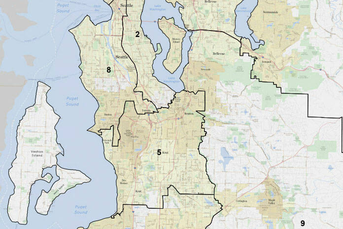 screenshot from adopted districting map