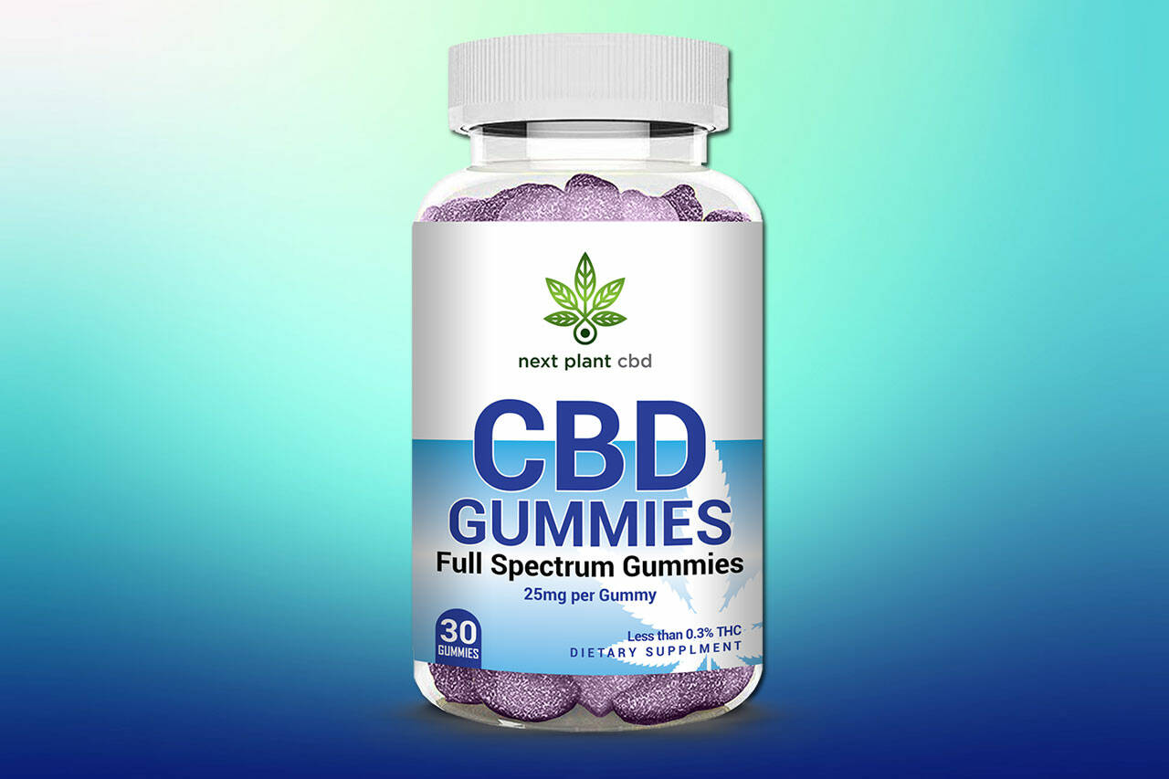 Subsequent Plant CBD Gummies: What to Know Earlier than Shopping for This Model!