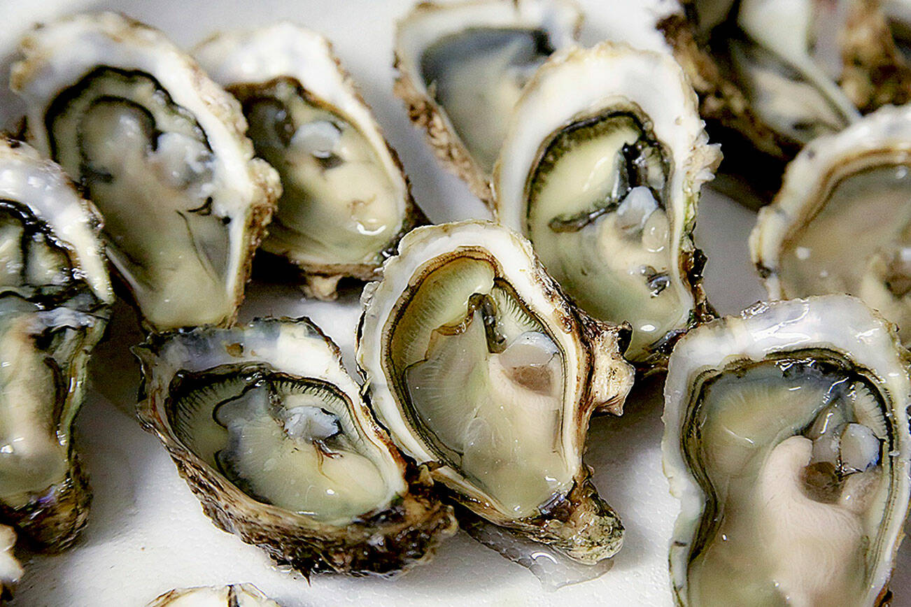 Public health agencies link Norovirus outbreak to oysters from British Columbia