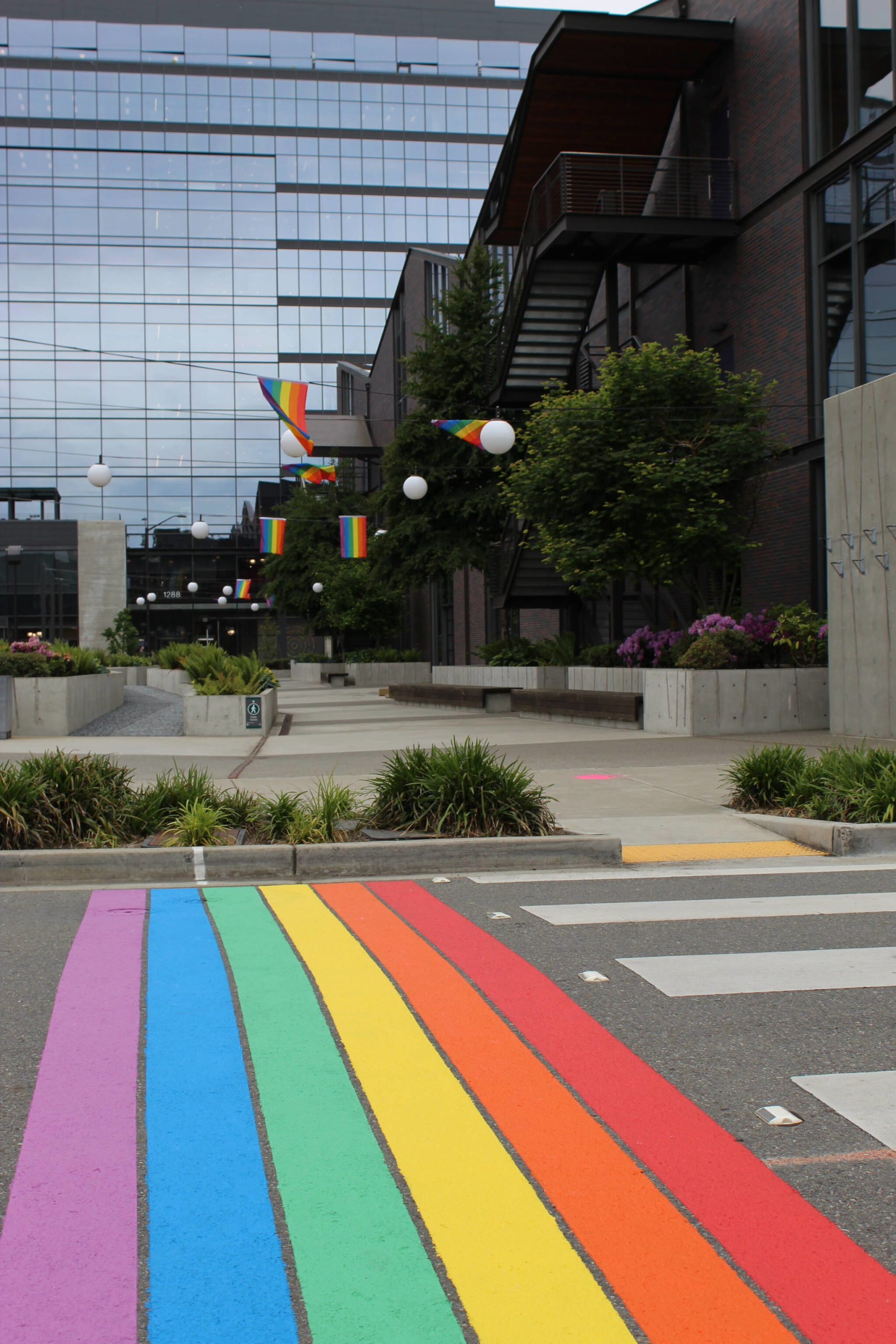 The finished rainbow crosswalk. Courtesy of Linda Hoffner.