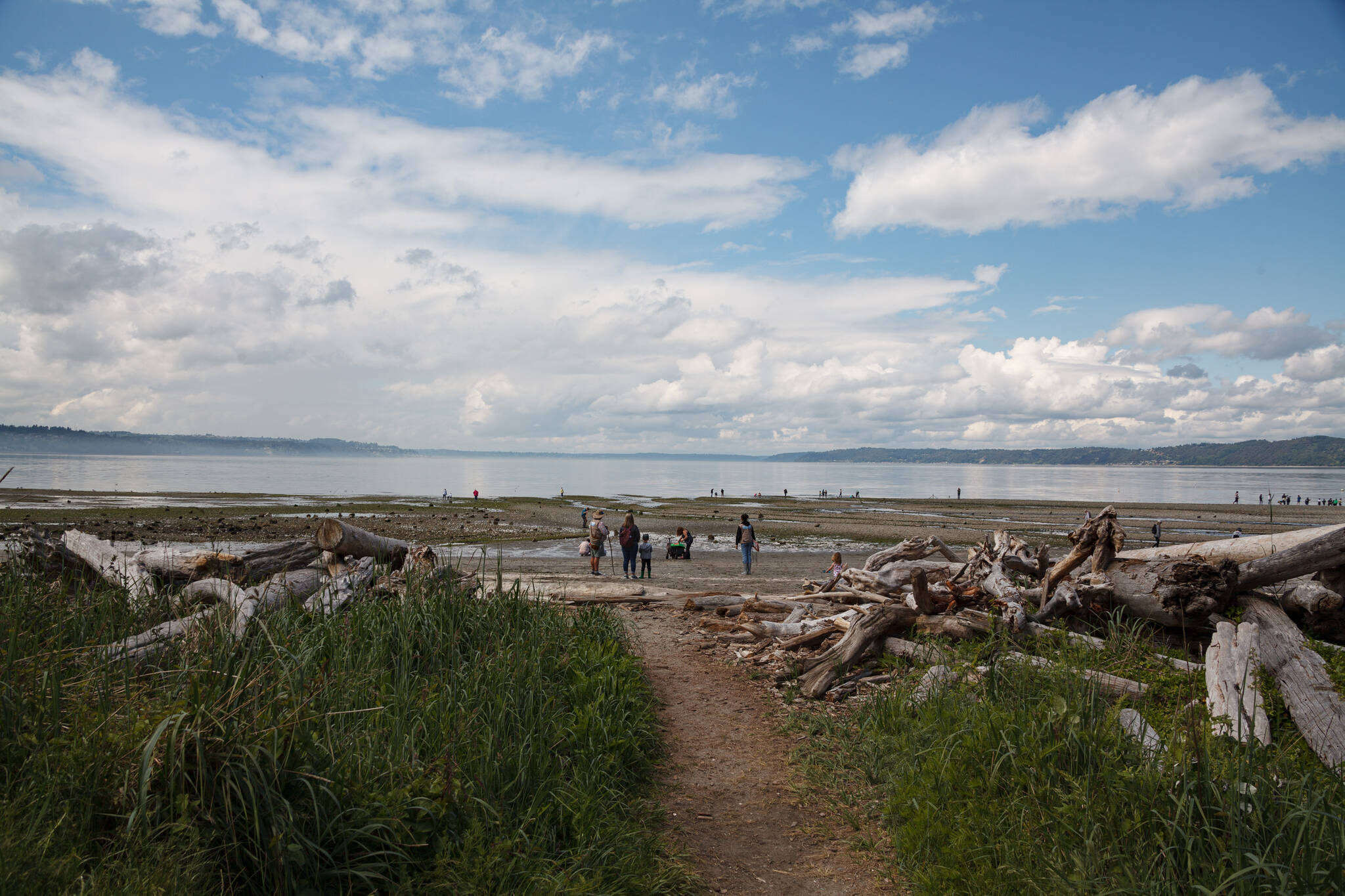 At Dash Point on June 16, 2022. Henry Stewart-Wood/Sound Publishing