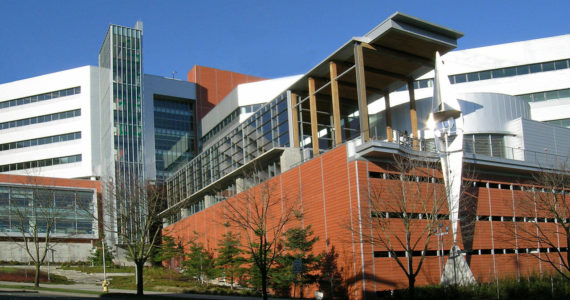 Bellevue City Hall. File photo