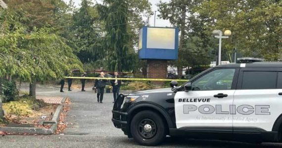 The crime scene after the stabbing near 148th Ave NE and NE 24th St. (Courtesy of Bellevue Police Department)