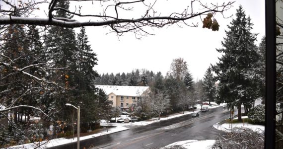 The word of the day is “slush” from the Federal Way Mirror office in Federal Way, overlooking South 336th Street on Nov. 29, 2022. Photo by Alex Bruell/the Mirror