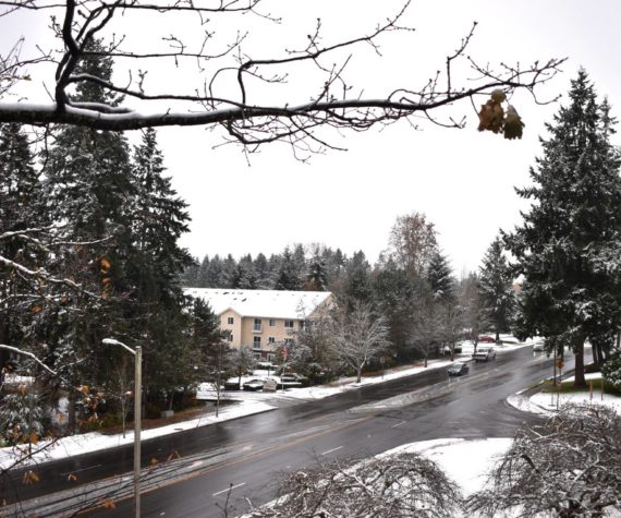 The word of the day is “slush” from the Federal Way Mirror office in Federal Way, overlooking South 336th Street on Nov. 29, 2022. Photo by Alex Bruell/the Mirror