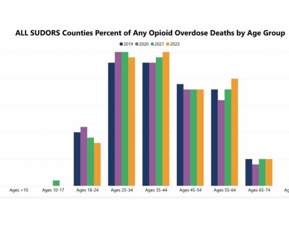 Screenshot of SUDORS from Dept. of Health website
