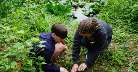 Cascade Water Alliance’s commitment to sustainability extends beyond leak prevention. Courtesy photo by Cascade Water Alliance.