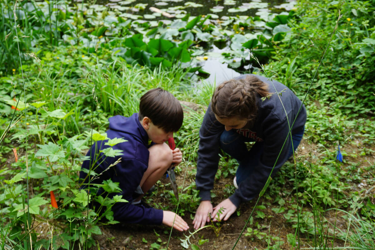 Cascade Water Alliance’s commitment to sustainability extends beyond leak prevention. Courtesy photo by Cascade Water Alliance.