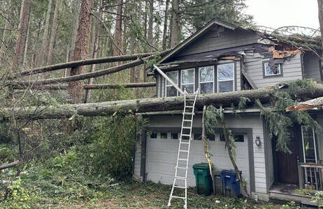 A house in Issaquah was damaged by fallen trees during November’s bomb cyclone. (Courtesy of King County Councilmember Sarah Perry’s office)