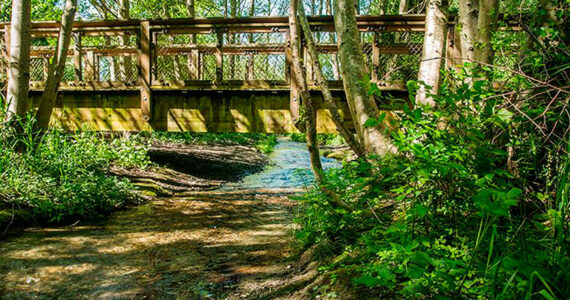 Dash Point State Park. Washington State Parks photo