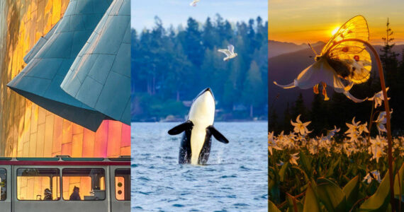 First Fed’s 2025 Proudly PNW Photo Contest drew nearly a thousand entries from community members across Western Washington. Courtesy First Fed