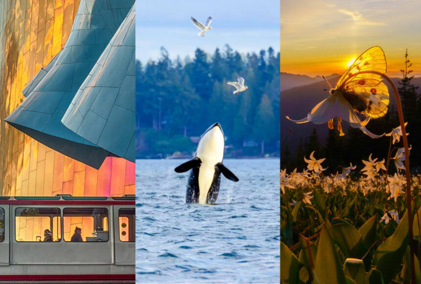 <p>First Fed’s 2025 Proudly PNW Photo Contest drew nearly a thousand entries from community members across Western Washington. Courtesy First Fed</p>
