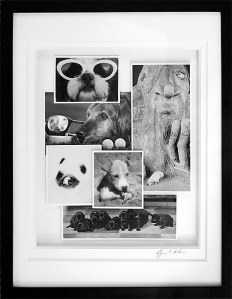 Jim Allen's photo exhibition is on view at Omega Photo in Bellevue.