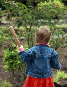 A little girl helps with the ceremonial tree planting during the Bellevue Botanical Garden's two-day open house
