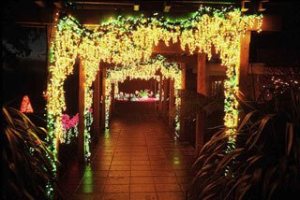 Bellevue's Botanical Garden will be aglow with about 500