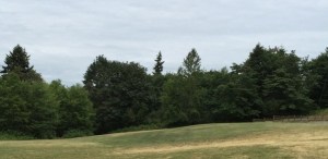 The Bellevue City Council on Monday approved the $475