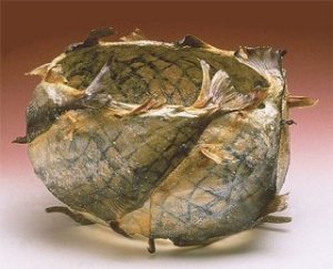 Fran Reed Kuskokwim's 1994 basket of silver salmon skin