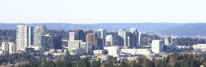 Residents of Somerset Lane and 137th Avenue Southeast are treated to a great view of the Bellevue skyline on a sunny Saturday afternoon.