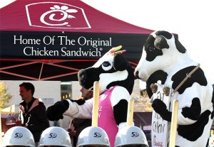 Construction is well under way