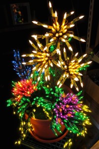 Garden d'Lights opens to the public on Sat.