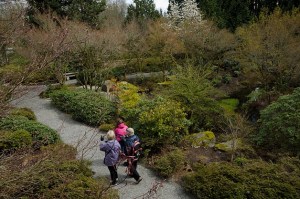 A trio of visitors follows a path through the Yao Garden at the Bellevue Botanical Garden on Monday.