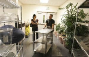 Group Health’s sale of hospital equipment brought in scores of shoppers