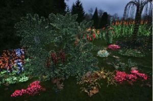 Bellevue’s Garden d’Lights features more than 500