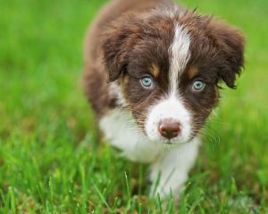 Email your letter to editor@cmg-northwest2.go-vip.net/bellevuereporter. Contributed photo