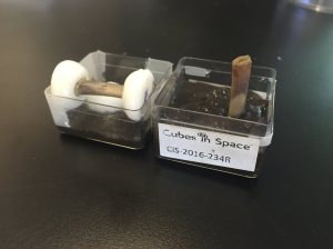 Allison DeAngelis/staff photo