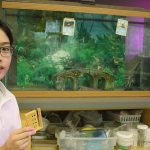 Bellevue 5th grader’s invention could help endangered species