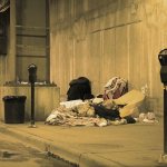 ‘Sometimes all they need is a little push to get back on track’